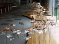 201214-butterflies-plasticbottle-38