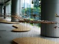 201214-butterflies-plasticbottle-39