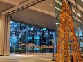 201214-butterflies-plasticbottles08