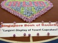 largest display of cupcake towels (1)