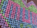 largest display of cupcake towels (21)