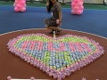 largest display of cupcake towels (3)