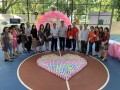 largest display of cupcake towels (4)