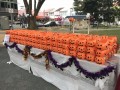 largest display of halloween lanterns (1)