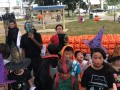 largest display of halloween lanterns (10)