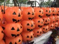 largest display of halloween lanterns (2)