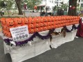 largest display of halloween lanterns (3)