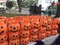 largest display of halloween lanterns (4)