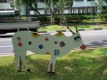 cow-display13
