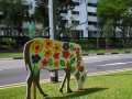 cow-display14