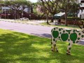 cow-display15