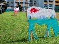 cow-display2