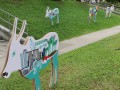cow-display5