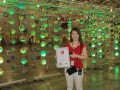 handpaintedlanterns22