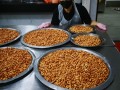 laddus-ds