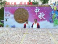 mooncake-teckghee8