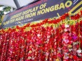 hongbaofish13