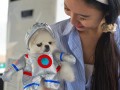 230910-petlickart-20