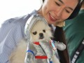 230910-petlickart-21