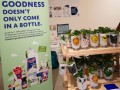 201219-milkbottles-painted07