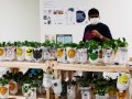 201219-milkbottles-painted15