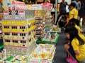 Largest Display of Handicrafts Made Of PolyAl Boards