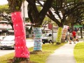 treewrap3