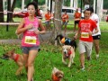 Largest Dog Jog