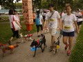Largest Dog Jog