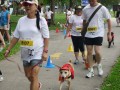 Largest Dog Jog