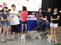 dogobedience8