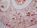 Largest Doodle Canvas