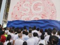 Largest Doodle Canvas