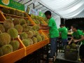 190623-durian-plazasing-13