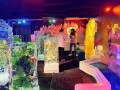 240208-dyedsnow07