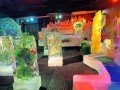 240208-dyedsnow1