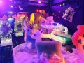 240208-dyedsnow10
