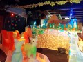 240208-dyedsnow13