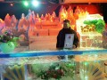 240208-dyedsnow17