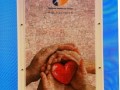 201105-photomosaicfabric12