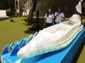 Largest Floating Raft Made Of Plastic Bottles