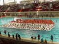 floating flag7