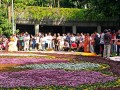 230923-flowercarpet-12