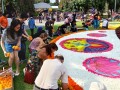 230923-flowercarpet-16