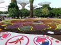 230923-flowercarpet-20