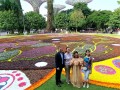 230923-flowercarpet-21
