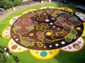 230923-flowercarpet-32