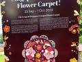 230923-flowercarpet-34