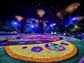 230923-flowercarpet-36