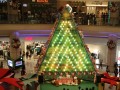 Largest Galton Christmas Tree